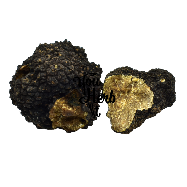 Greek Fresh Whole Black Truffles