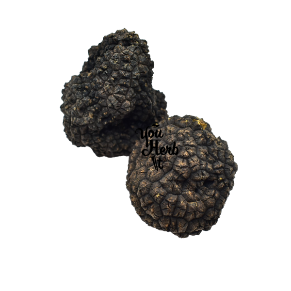 Greek Fresh Whole Black Truffles